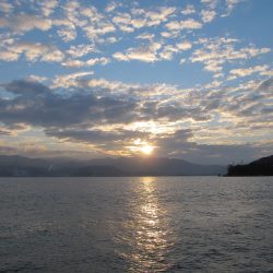 お魚さん、釣れるかな？？