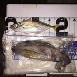 エギングとアジング