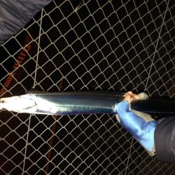 爆風の中、まずまず