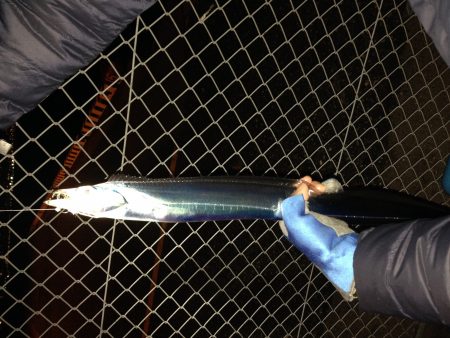 爆風の中、まずまず