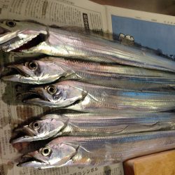 朝の地合いは渋め