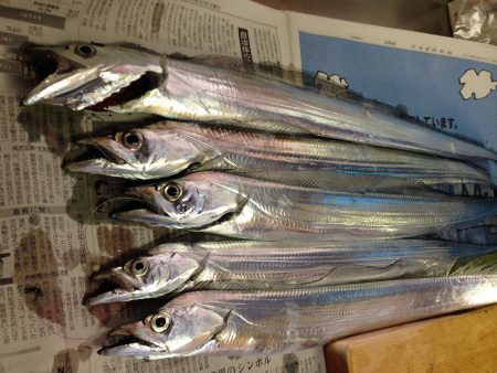 朝の地合いは渋め