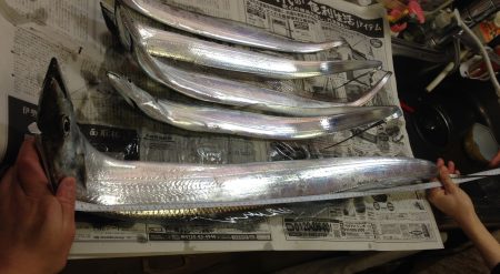 2015釣り納めはドラゴン出没!