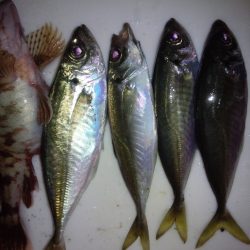 めばりんぐ＆あじんぐ