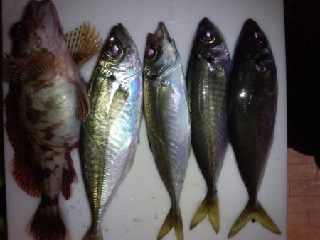 めばりんぐ＆あじんぐ