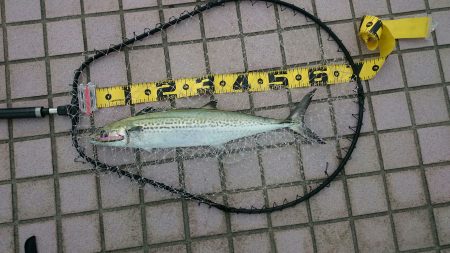 新品のロッドで