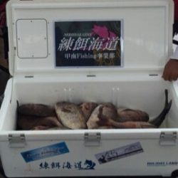 海上釣り堀水宝/かなすび釣果