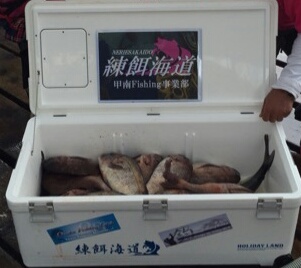 海上釣り堀水宝／かなすび釣果