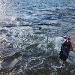みなべ堺磯に釣行