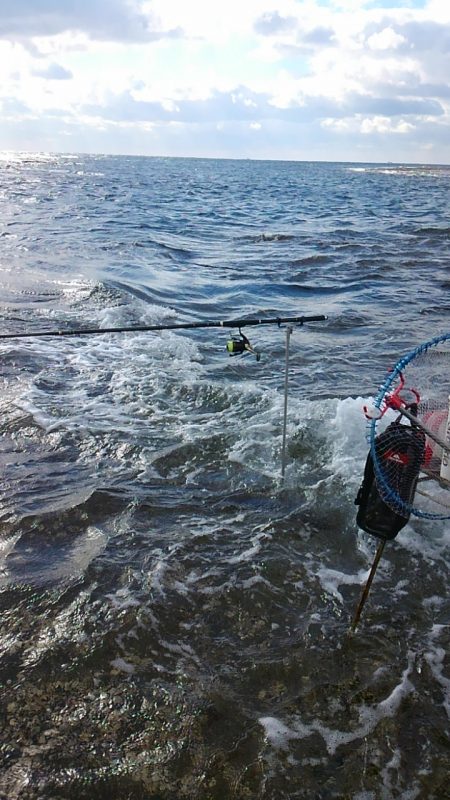 みなべ堺磯に釣行