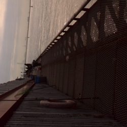 振替休日に海釣り公園