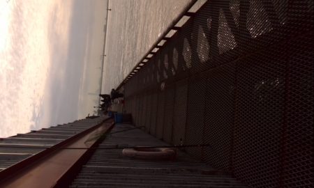 振替休日に海釣り公園