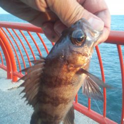 年末休みで早速