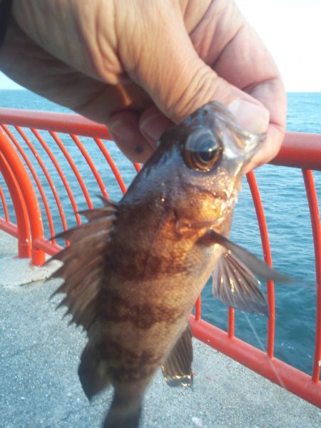 年末休みで早速