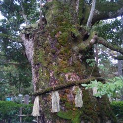 ミップル周辺で釣りをする