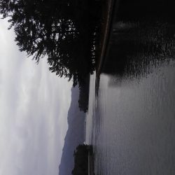 ミップル周辺で釣りをする。