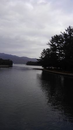 ミップル周辺で釣りをする。