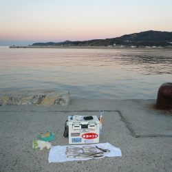 「２０１５」ラスト釣行Ⅱ