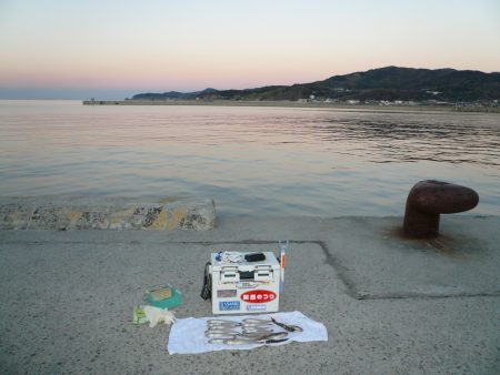 「２０１５」ラスト釣行Ⅱ