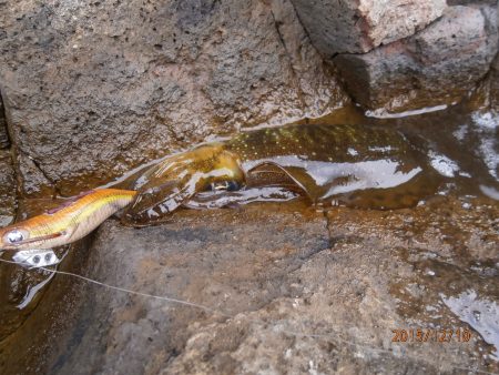 まだ釣れるかも♪
