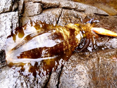 最後にドラマが・・・？