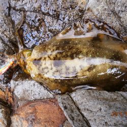 人生初　・・・