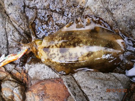 人生初　・・・