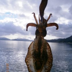 今年のおまけ！