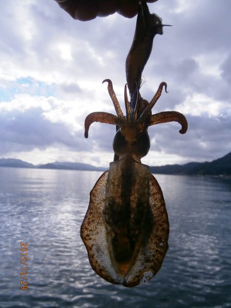 今年のおまけ！