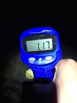 年内キロUP達成