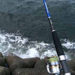 ニューロッドの試投に