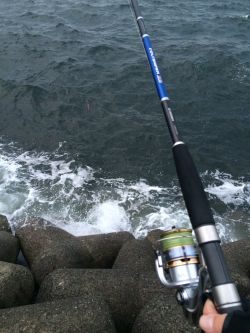 ニューロッドの試投に