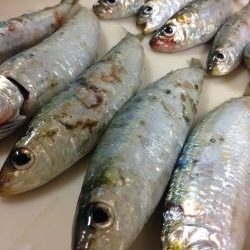 まさかの激シブ〜(o^^o)