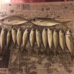 倶楽部通信  15年釣り納め