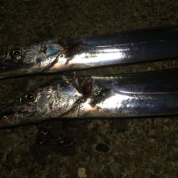 渋かったかな…