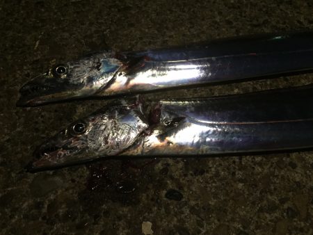 渋かったかな…