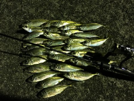 短時間で爆釣？