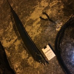 アジング合間のシーバスのハズが