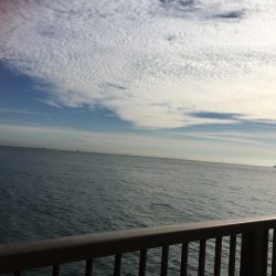 寒い中のサヨリ釣り