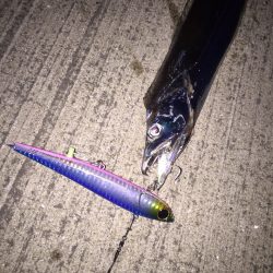 竿納したつもりが……