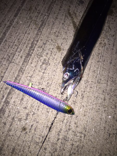 竿納したつもりが……