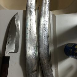 太刀魚も終盤か！？
