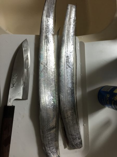 太刀魚も終盤か！？