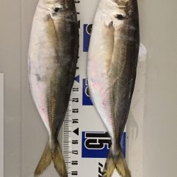 何をやっても釣れる日