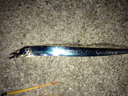 深夜のウキ釣り