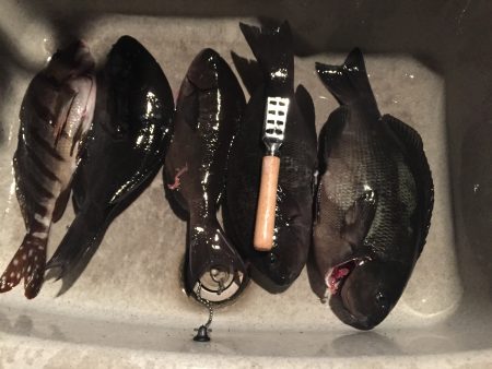 密漁会でわなー