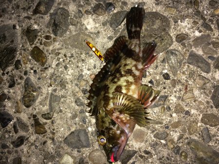 メバリング&ガシルング