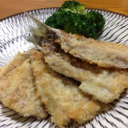 まぁまぁの釣果でしょう。