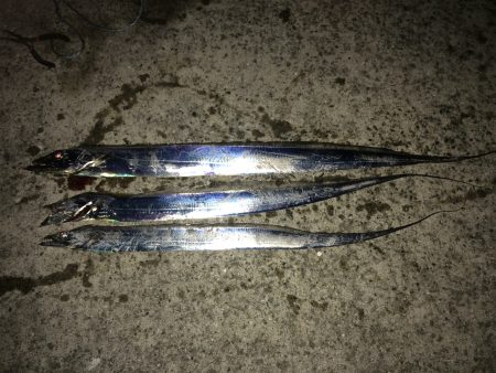 まだまだイケる？