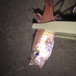 雨が降る前に、、、＆ 釣り場のゴミ